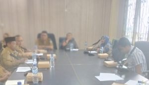 Dugaan Penyimpangan DD, Besok, Inspektorat Bangkep Lakukan Riksus di Desa Leme-Leme Bungin